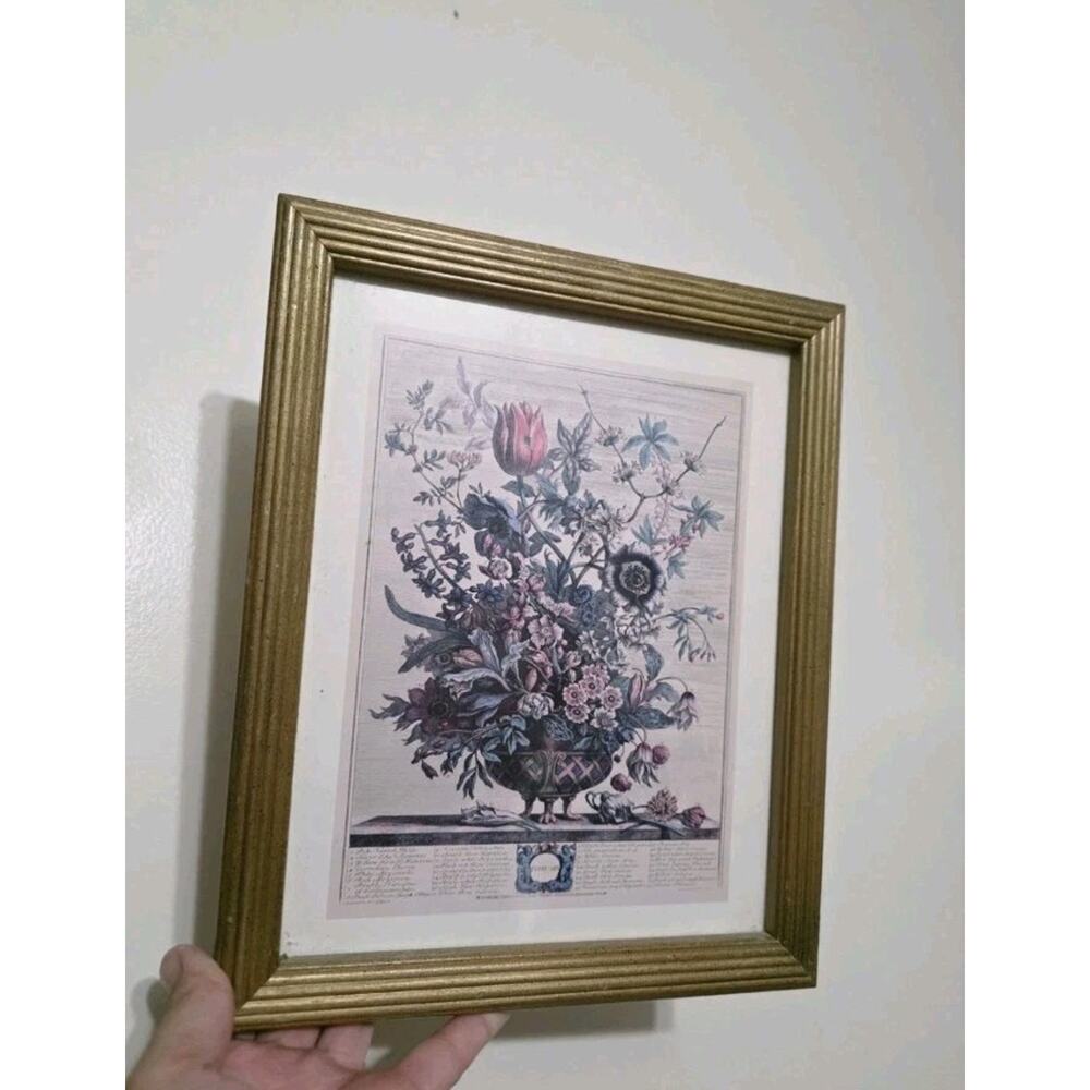 Robert Furber Framed Ferbruary Floral Print 1732 Vase Flowers Gold Frame 9"x11"